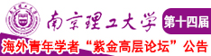 啊啊啊啊好大南京理工大学第十四届海外青年学者紫金论坛诚邀海内外英才！